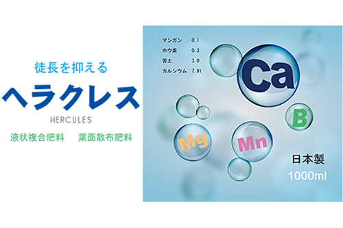 ヘラクレス